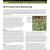 2011 Lake Meredith NRA  Alibates Flint Quarries NM Exotic Plant Monitoring